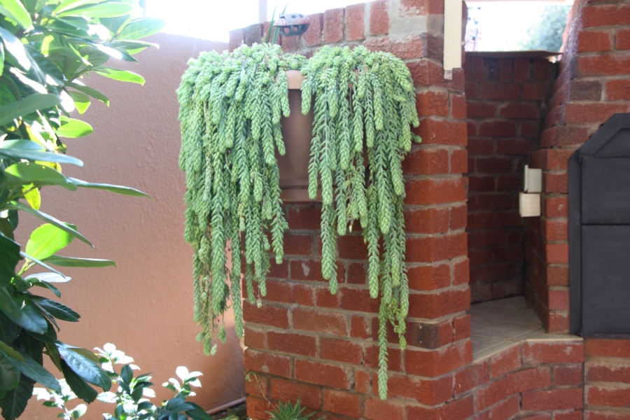 3 Bedroom Property for Sale in Fichardt Park Free State